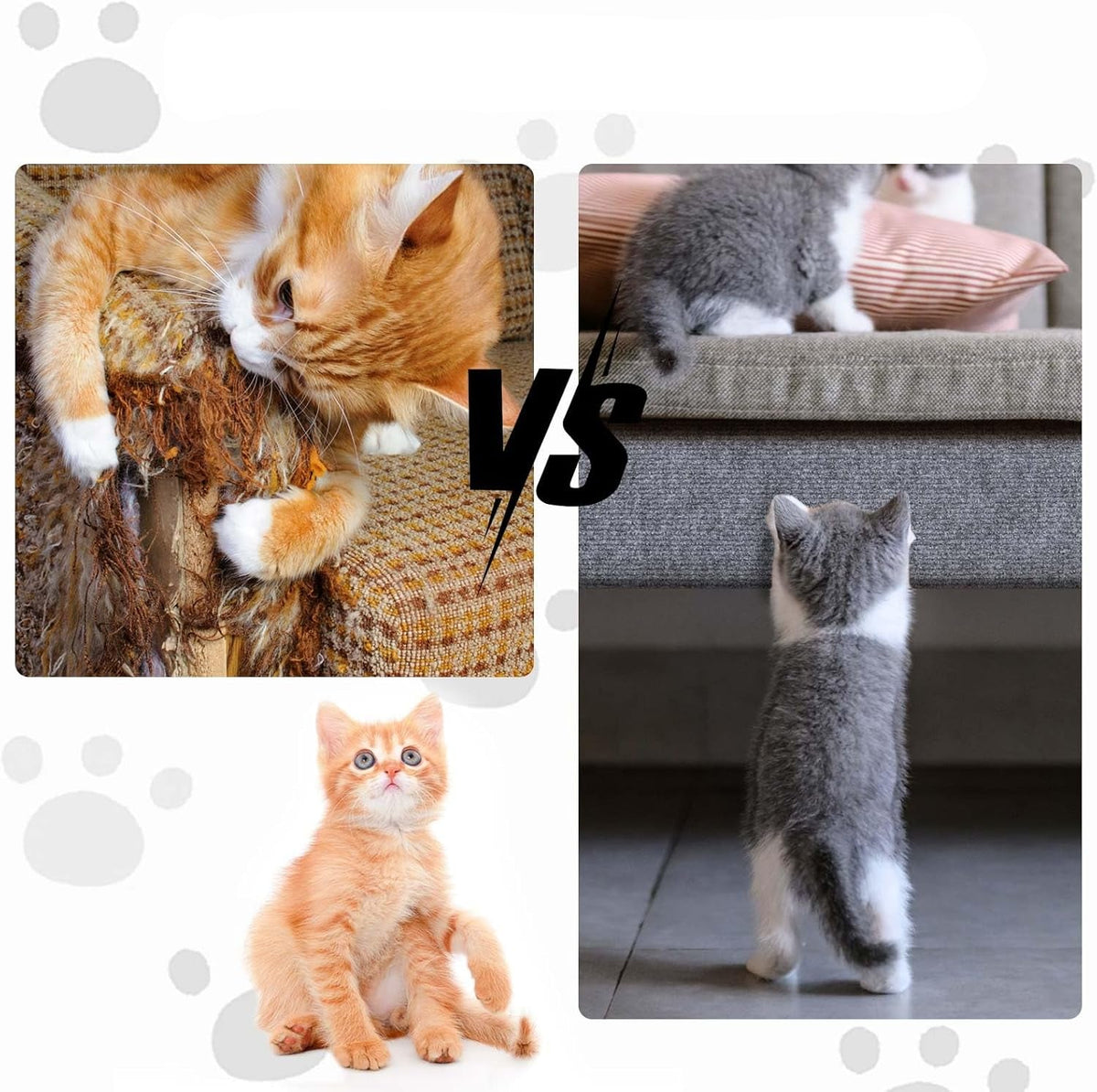 Cat Scratching Protector