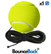 Replacement Ball