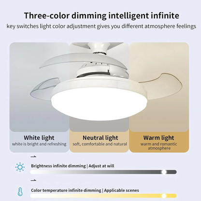 Ceiling Fan with LED Light