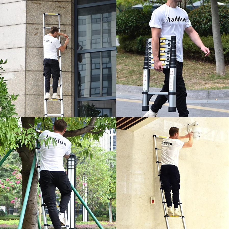 Telescoping Ladder