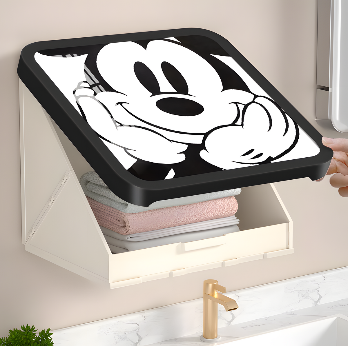 Foldable Wall Cabinet