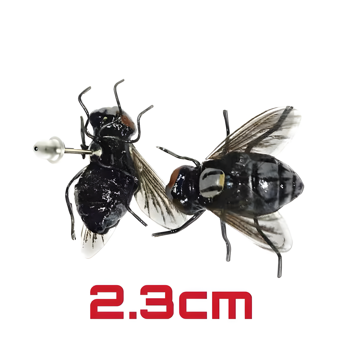 Fly-Shaped Stud Earrings