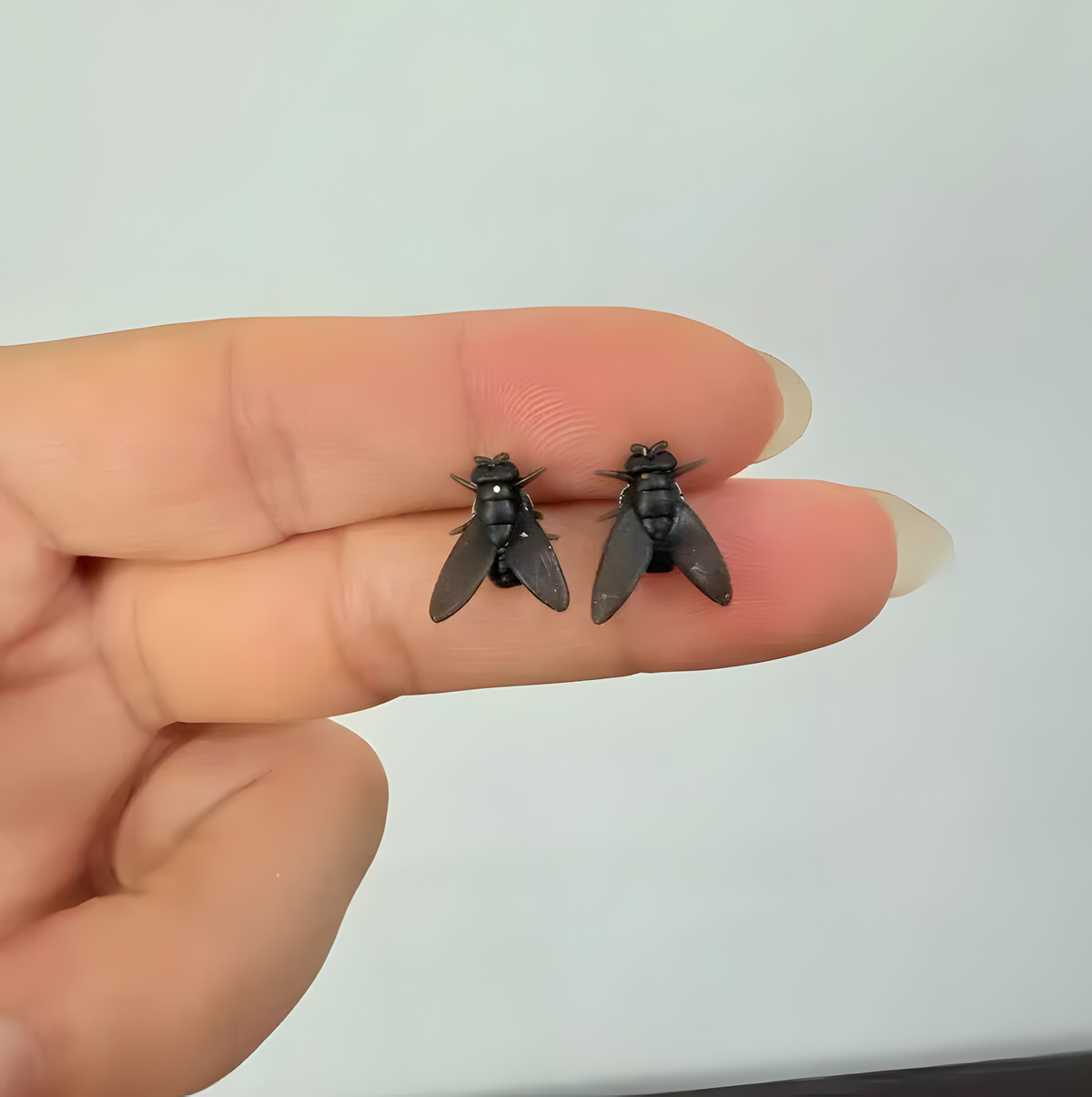 Fly-Shaped Stud Earrings