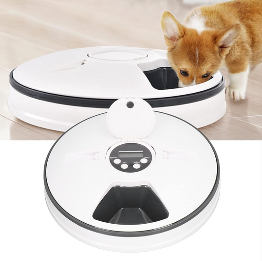 Automatic Pet Feeder