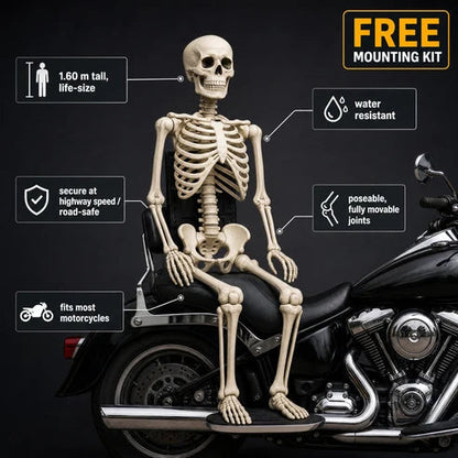 Motorcycle Skeleton Passenger Kit